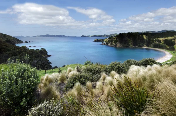 Penisola di Mahinepua in Nuova Zelanda — Foto Stock