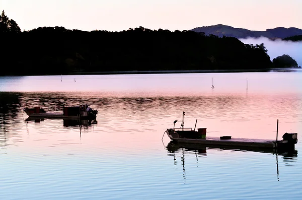 Whangaroa гавань Нової Зеландії — стокове фото