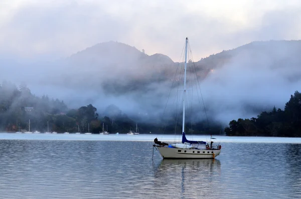 Whangaroa harbor New Zealand — Stock Photo, Image