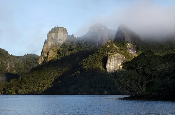 Whangaroa port Nouvelle-Zélande — Photo