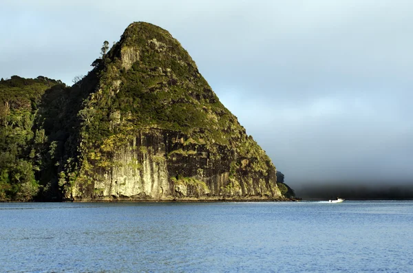 Whangaroa přístav Nového Zélandu — Stock fotografie