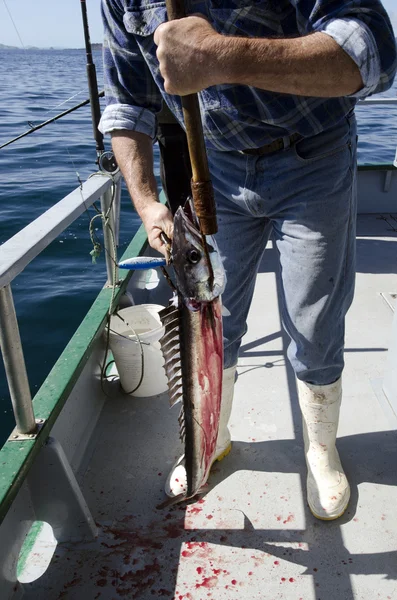 Safari de pesca na Nova Zelândia — Fotografia de Stock