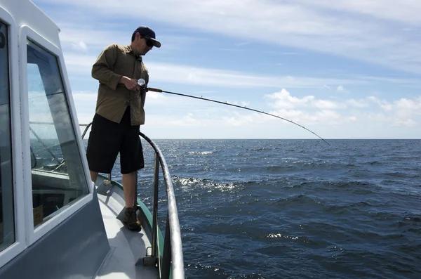 Safari di pesca in Nuova Zelanda — Foto Stock