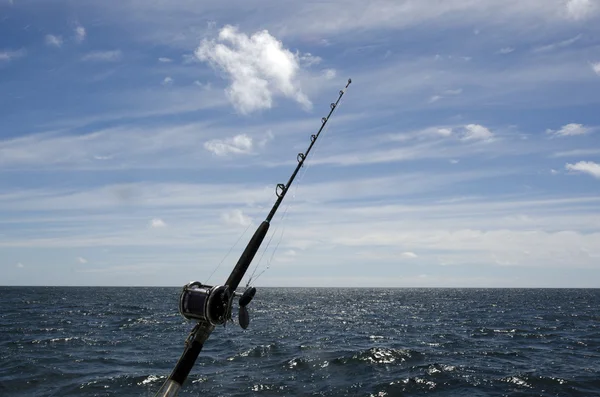 Safari de pesca na Nova Zelândia — Fotografia de Stock