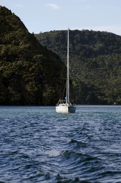 Whangaroa haven Nieuw-Zeeland — Stockfoto