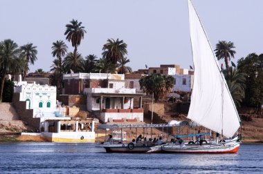 Felucca yelkenli