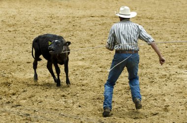 Rodeo