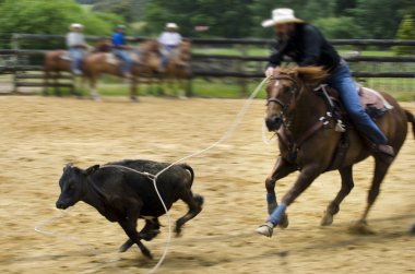 Rodeo
