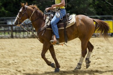Rodeo