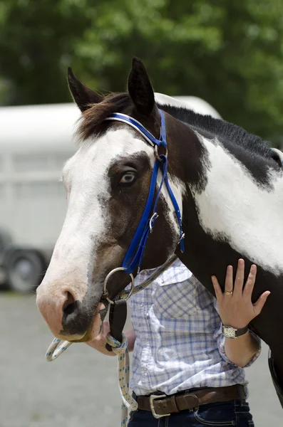 Rodeo — Stockfoto