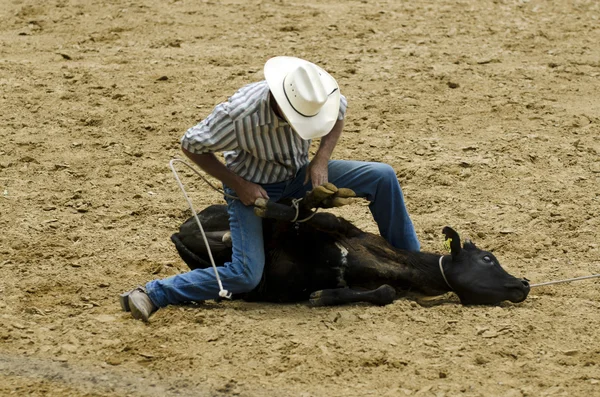 Rodeo — Stockfoto