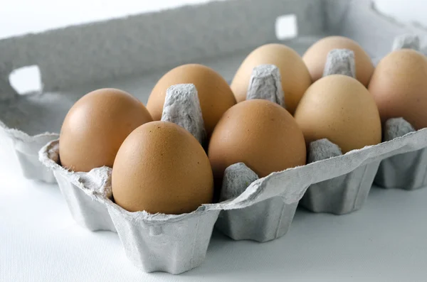 Ekologiczne jajka — Zdjęcie stockowe