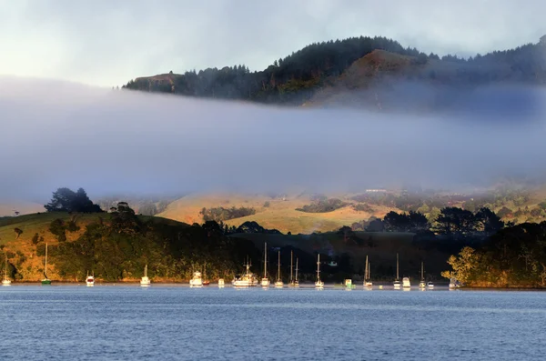 Whangaroa porto Nova Zelândia — Fotografia de Stock