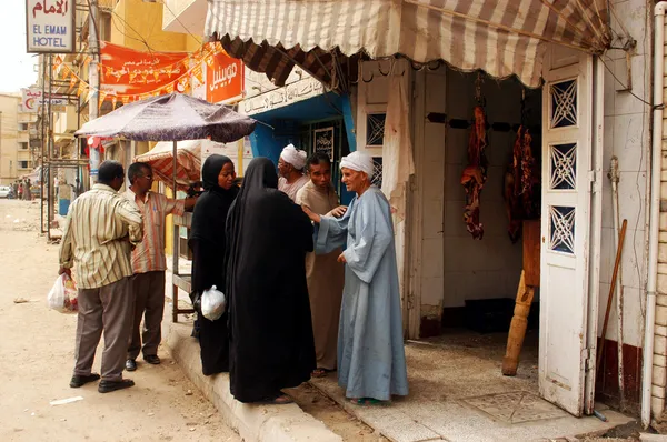 Egypt ekonomika a rostlinné produkce — Stock fotografie