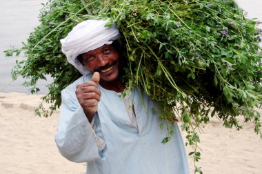 Mısır gezi fotoğrafları - nubian Köyü