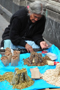 tohum uyuşukluk