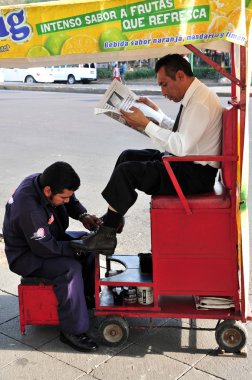 Meksikalı shoeshin