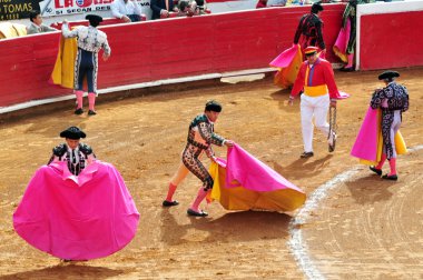 Boğa-plaza de toros bull ring mexico City'de mücadele