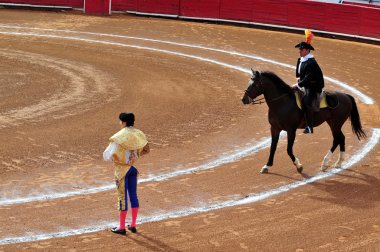 Boğa-plaza de toros bull ring mexico City'de mücadele