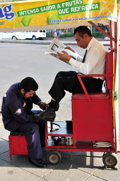 Meksikalı shoeshin — Stockfoto