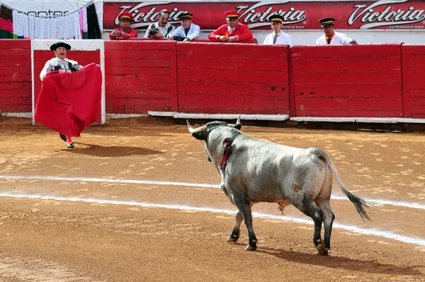 Bull-kampen i plaza de toros bull ring mexico city — Stockfoto