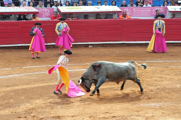 Býk boj v plaza de toros bull ring mexico city — Stock fotografie
