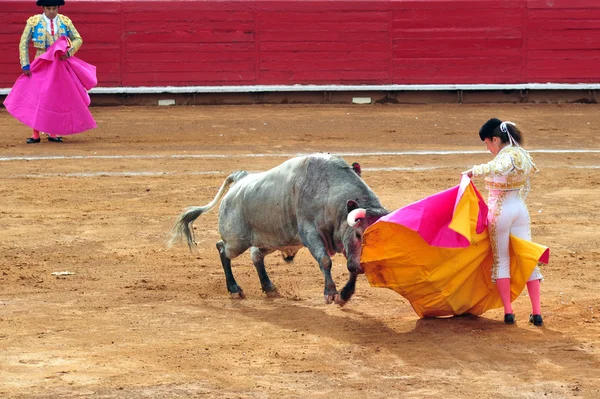 Byk walka w plaza de toros bull ring Meksyk — Zdjęcie stockowe