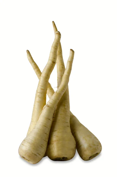 Parsnip — Stock Photo, Image