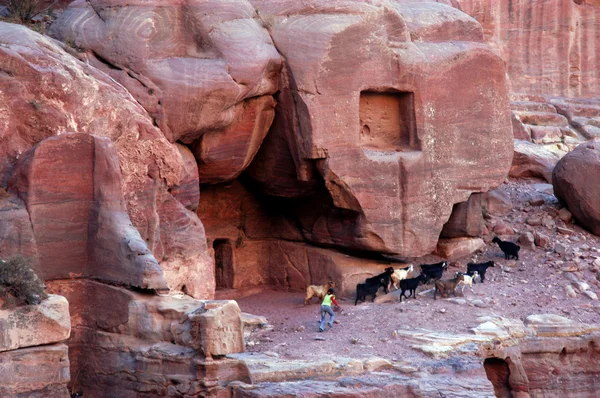 Petra in het Hasjemitisch Koninkrijk Jordanië — Stockfoto