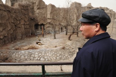 Çin'de Pekin Hayvanat Bahçesi