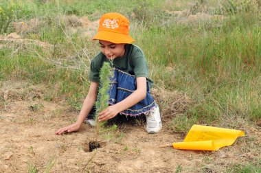 İsrailli çocuk tu bishvat Yahudi tatil yemek kutluyor