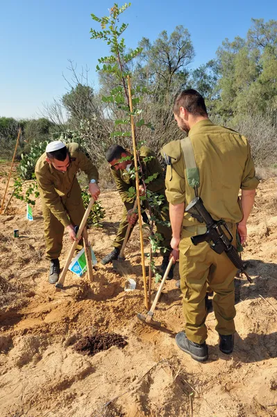 Izraeliek ünneplik a zsidó ünnep a Tu Bishvat — Stock Fotó