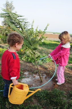İsrailli çocuk tu bishvat Yahudi tatil yemek kutluyor