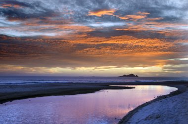 Henderson bay northland, Yeni Zelanda