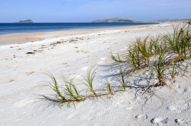 Henderson bay northland, Yeni Zelanda