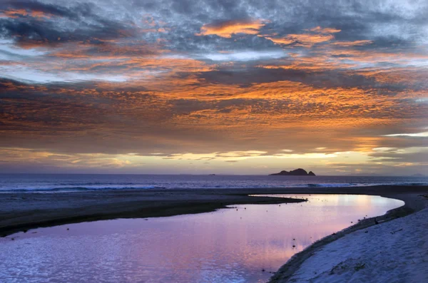 Henderson Bay in Northland New Zealand — Stock Photo, Image