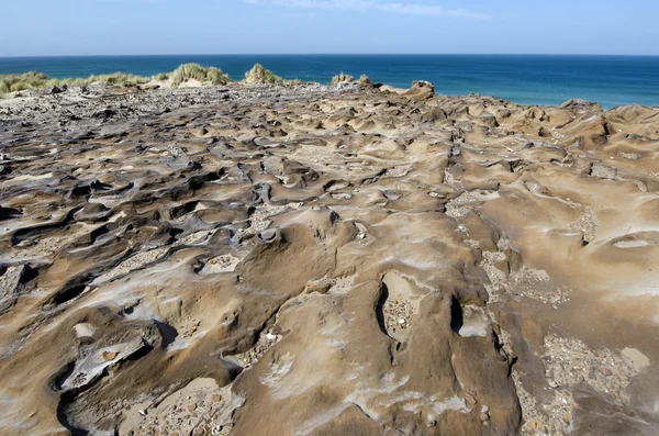 Henderson bay i northland Nya Zeeland — Stockfoto