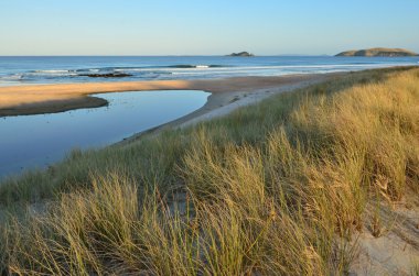 Henderson bay northland, Yeni Zelanda