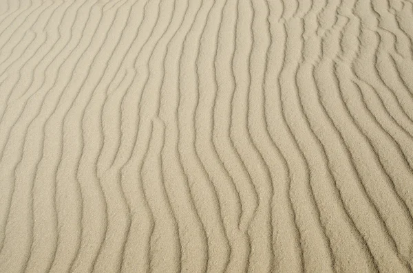 Duna de areia — Fotografia de Stock