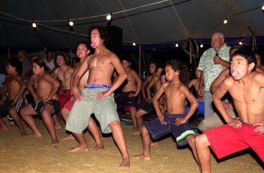 Waitangi günü - Yeni Zelanda genel tatil