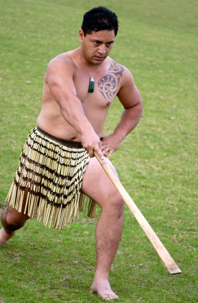 Waitangi nap - Új-Zéland munkaszüneti — Stock Fotó