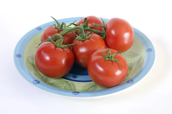 Tomates na videira — Fotografia de Stock