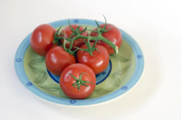 Tomaten op de wijnstok — Stockfoto