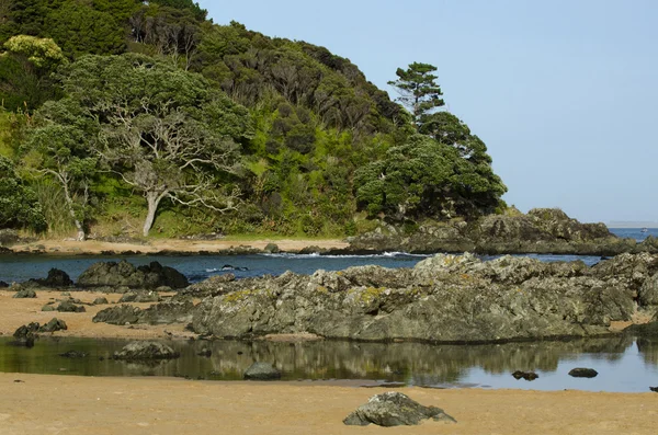 Praia selvagem na Nova Zelândia — Fotografia de Stock