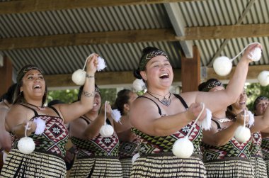 Waitangi Day and Festival - New Zealand Public Holiday 2013 clipart