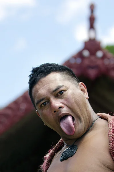 Dia e Festival de Waitangi - Feriado Público da Nova Zelândia 2013 — Fotografia de Stock