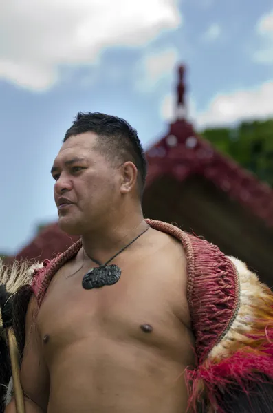 Dia e Festival de Waitangi - Feriado Público da Nova Zelândia 2013 — Fotografia de Stock