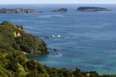 northland Yeni Zelanda manzara.