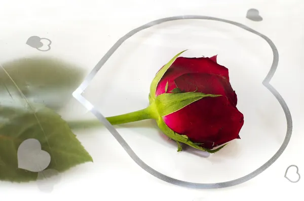 赤いバラとハート — ストック写真