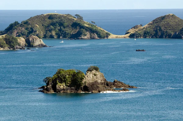 Northland Yeni Zelanda manzara. — Stok fotoğraf